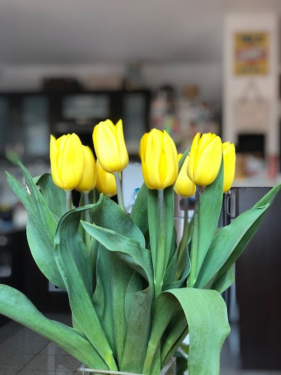 Kwiaciarnia Effki, Kwiaciarnia w Ostrołęka