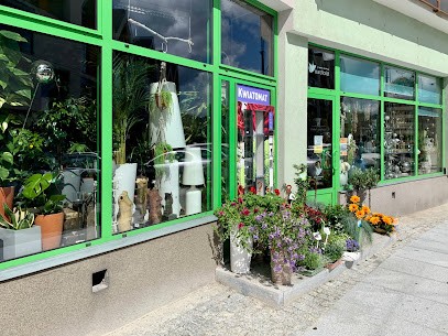 Kwiat Paproci. Kwiaciarnia, Kwiaciarnia w Nysa