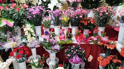 Kwiaciarnia Jadwiga Skowrońska, Kwiaciarnia w Łódź