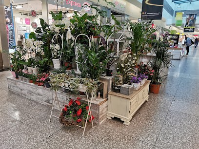 Kwiaciarnia “Ewa” Vivo Piła, Kwiaciarnia w Piła