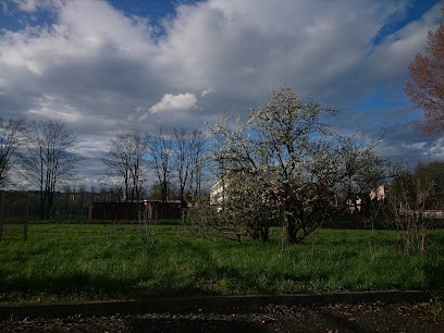 Antoniak Janusz. Kwiaciarnia, Kwiaciarnia w Strzegom