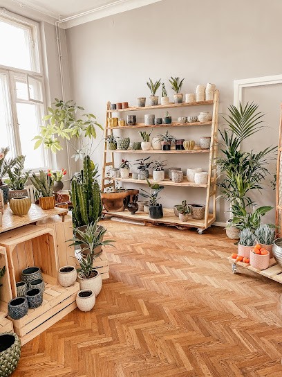 Ginger Decor, Kwiaciarnia w Warszawa