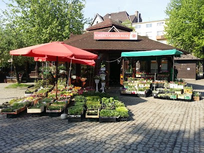 Telekwiaciarnia Kraków - florystyczna poczta, kwiatowa dostawa, Kwiaciarnia w Krąków