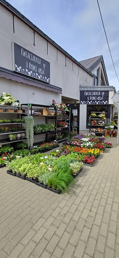 Kwiaciarnia u Rybki Kołaczyce, Kwiaciarnia w Kołaczyce