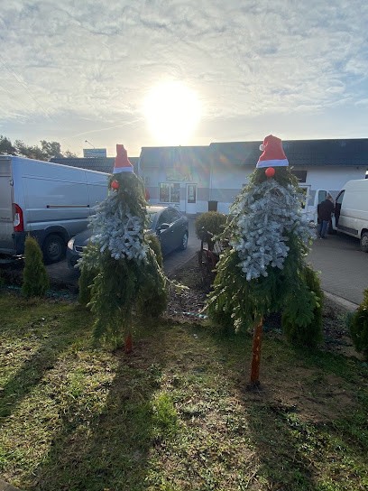 Agencja pocztowa Kwiaciarnie Wrzos Zamość, Kwiaciarnia w Zamość