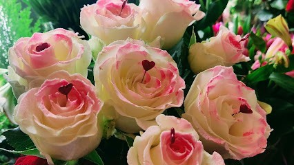 Irys. Kwiaciarnia, Kwiaciarnia w Zakopane