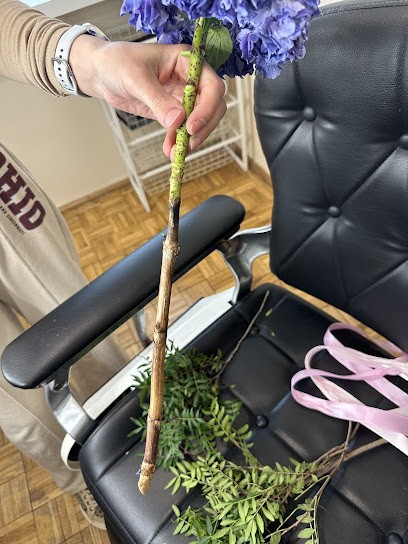 Klonowska Danuta. Kwiaciarnia, Kwiaciarnia w Sochaczew