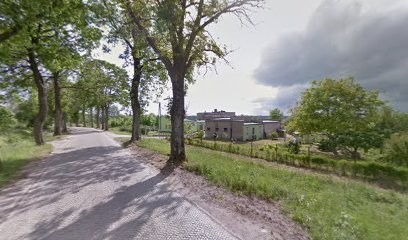 Barczewicz Marzena, Robert. Kwiaciarnia sp.j., Kwiaciarnia w Drzewiany