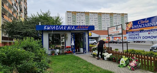 Kwiaciarnia Clivia włocławek, Kwiaciarnia w Włocławek