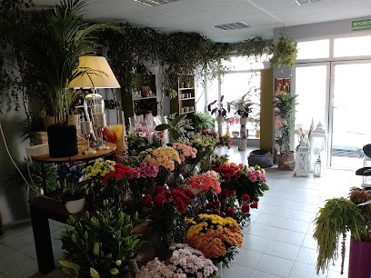 Kwiaciarnia, Kwiaciarnia w Zawidów