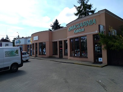 Kaktus. Kwiaciarnia, Kwiaciarnia w Łomianki