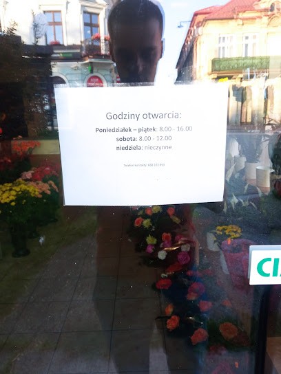 Kwiaciarnia Dominika Paczyńska, Kwiaciarnia w Bochnia