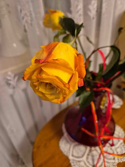 Kwiaciarnia Joanna, Kwiaciarnia w Jabłonna