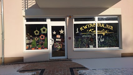 Kwiaciarnia Kamelia - Lubin, Kwiaciarnia w Lubin