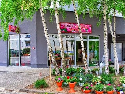 Kwiaciarnia Łódź, Kwiaciarnia w Łódź