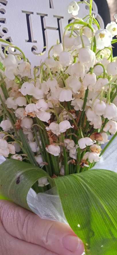 Agawa. FHU. Kwiaciarnia. Nowotka S., Kwiaciarnia w Dobre Miasto