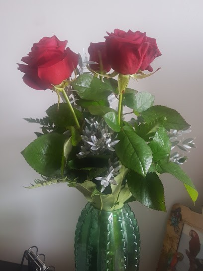 U Ogrodnika. Kwiaciarnia, Kwiaciarnia w Piotrków Trybunalski