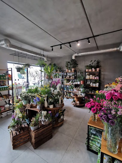 Pracownia Florystyczna Flower House, Kwiaciarnia w Krąków