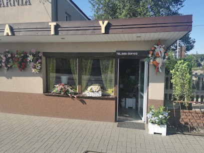 Kwiaciarnia Jola, Kwiaciarnia w Teresin