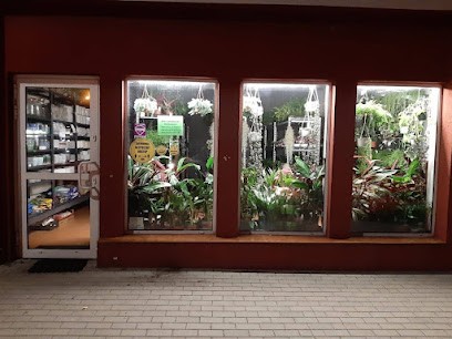 Rośliny od ręki, Kwiaciarnia w Katowice