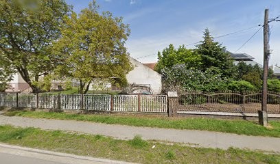 P&S Orchid S. C., Kwiaciarnia w Wrocław