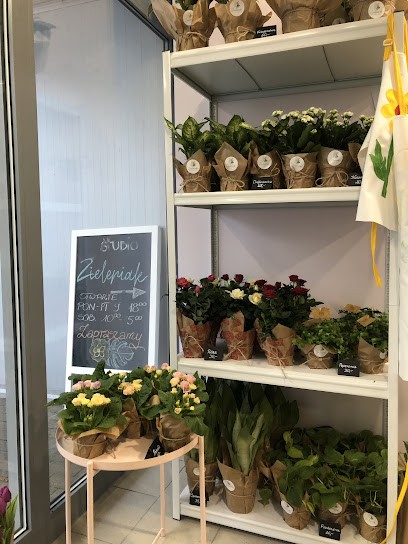 Zieleniak Studio Florystyczne, Kwiaciarnia w Łódź