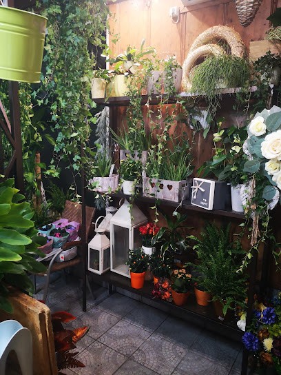 Niezapominajka, Kwiaciarnia w Koszalin