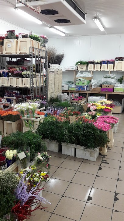 Flora. Hurtownia kwiatów ciętych, dodatków florystycznych. Madeja A., Kwiaciarnia w Dąbrowa Górnicza