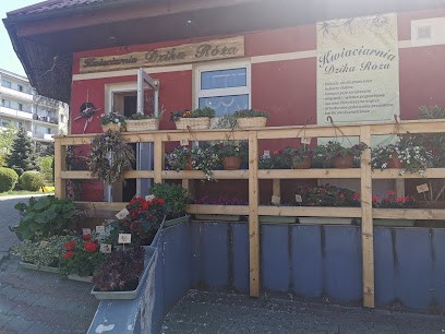 Kwiaciarnia Dzika Róża, Kwiaciarnia w Tuchola