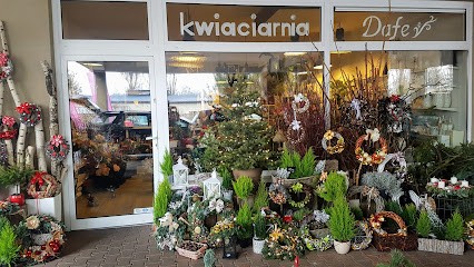 Dafe, Kwiaciarnia w Wrocław