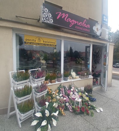 Kwiaciarnia Magnolia, Kwiaciarnia w Ostrołęka