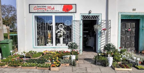 Kwiaciarnia Czerwony Mak, Kwiaciarnia w Łany