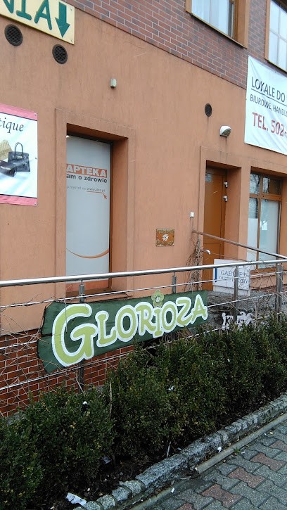 Glorioza. Kwiaciarnia- Pasmanteria, Kwiaciarnia w Czerwionka-Leszczyny