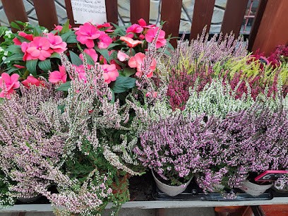 Kwiaty Sobolów, Kwiaciarnia w Sobolów