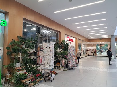 Kwiaciarnia GROTA, Kwiaciarnia w Szczecin