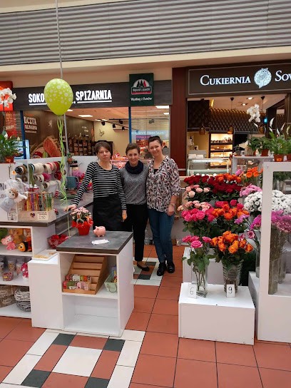 Power Flower. Krzywdzińska H., Kwiaciarnia w Toruń