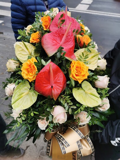 Orchidea. Kwiaciarnia telefon komòrkowy 603322862, Kwiaciarnia w Bytom