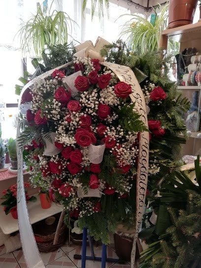 Kwiaciarnia U Marysi, Kwiaciarnia w Lwówek Śląski