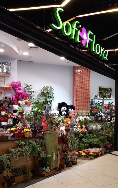 Sofi Flora, Kwiaciarnia w Katowice