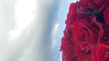 Bratek, Kwiaciarnia w Pszenno