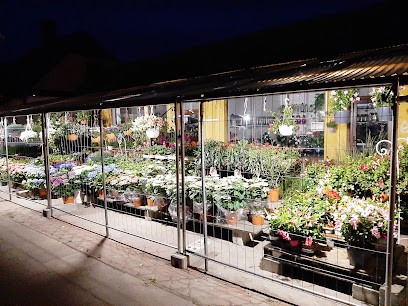 Kwiaciarnia Studium, Kwiaciarnia w Ostrów Wielkopolski