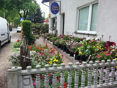 Sara. Kwiaciarnia. Sikora K., Kwiaciarnia w Kościan