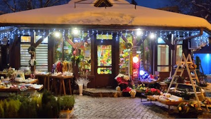 Floristica Kraków, Kwiaciarnia w Krąków