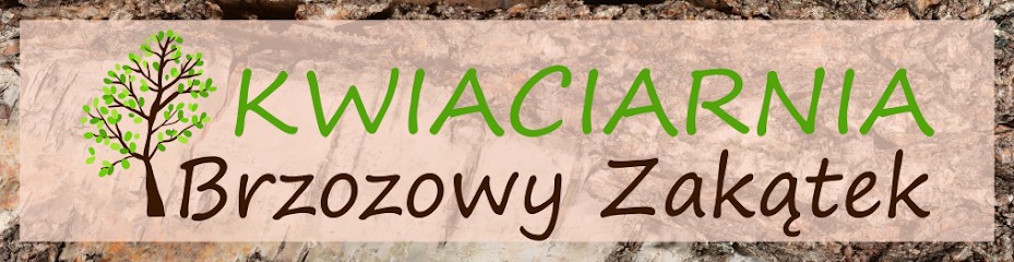 Kwiaciarnia Brzozowy Zakątek Duszniki, Kwiaciarnia w Duszniki