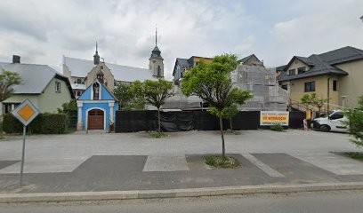 Aleksandrowicz Ewa. Kwiaty, Upominki, Kwiaciarnia w Dobra