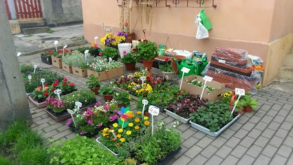 Margaretka. Kwiaciarnia, Kwiaciarnia w Bogatynia