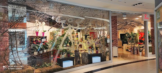 Anes Kwiaty, Kwiaciarnia w Rzeszów