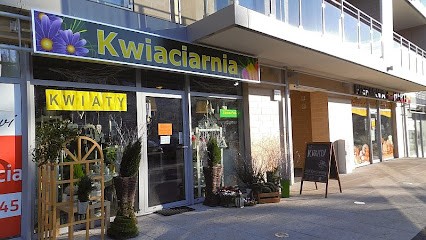 Florist Green Patio, Kwiaciarnia w Wrocław