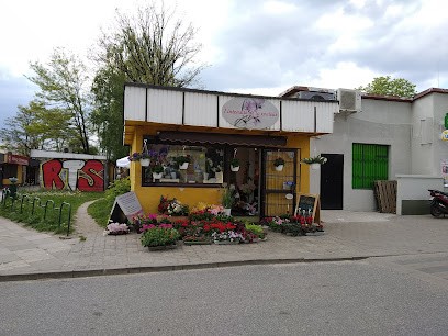 Intensite De La Couleur Agnieszka Pawłowska, Kwiaciarnia w Łódź
