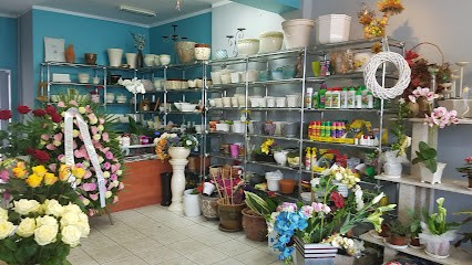 Baccara. Kwiaciarnia. Wasilewska A., Kwiaciarnia w Legionowo